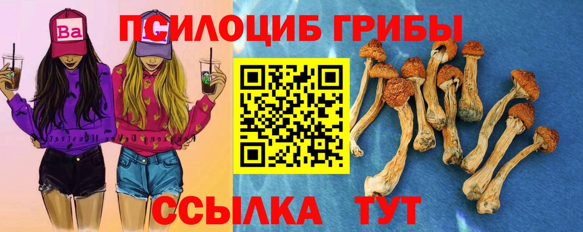 Приморско-Ахтарск  Псилоцибиновые грибы GOLDEN TEACHER  Псилоцибиновые грибы Psilocybine cubensis  Вход с VPN 