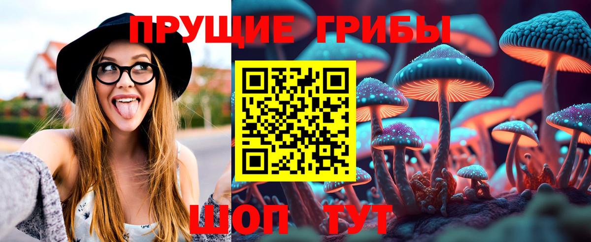 Псилоцибиновые грибы Psilocybine cubensis Приморско-Ахтарск